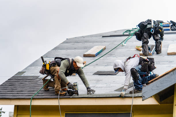 Professional Storm Damage Roof Repair technician working in West Haven, UT